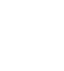 Swiss_army_forces